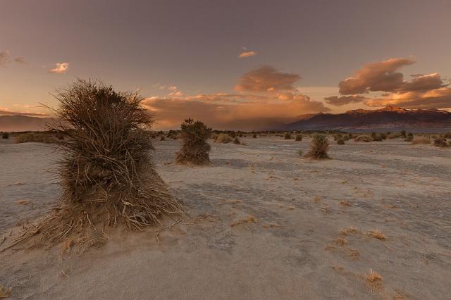 19 death valley, devil's cornfield.jpg